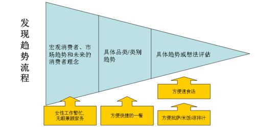 某国际大型食品公司新产品开发流程内部汇报版